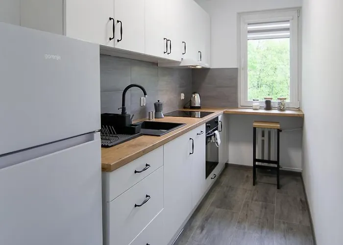 Spacious Oasis In The Center Krasków