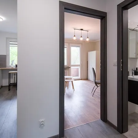 Apartment Spacious Oasis In The Center