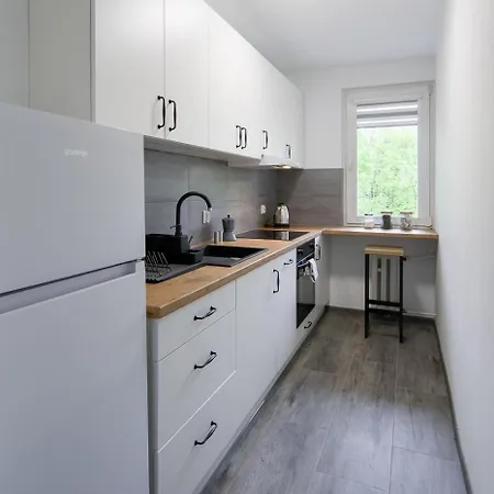 Spacious Oasis In The Center Krakau