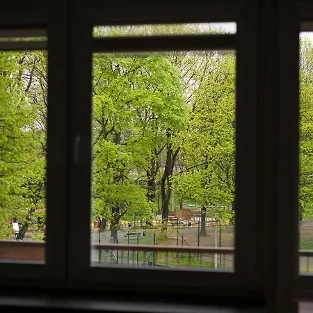 Spacious Oasis In The Center Apartment *