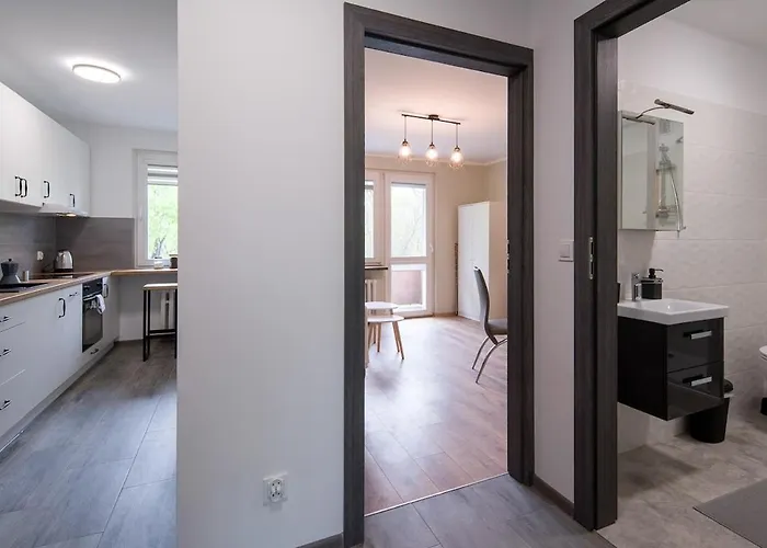 Apartment Spacious Oasis In The Center