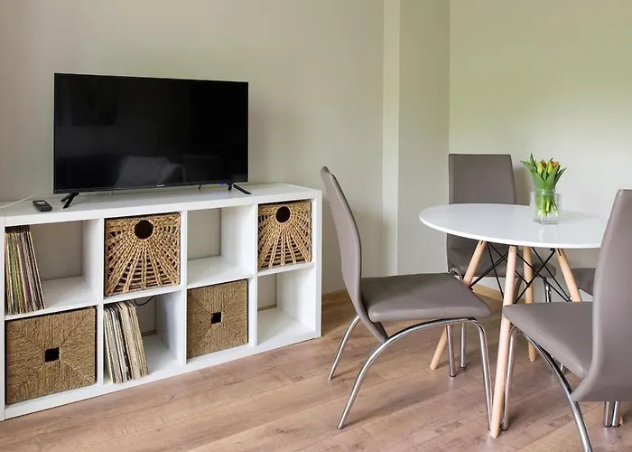 Spacious Oasis In The Center * Krakow